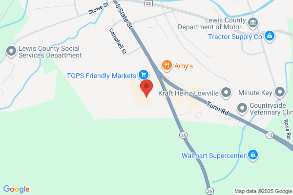 Advance Auto Parts