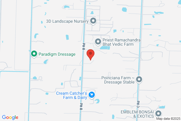 Ramon Sanchez Enterprises Inc