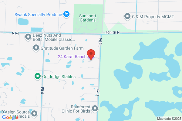 24 Karat Ranch