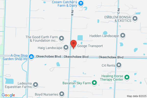 Googe Transport Inc