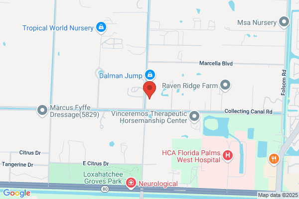 Hammerhead Roofing Of South Florida, Inc.