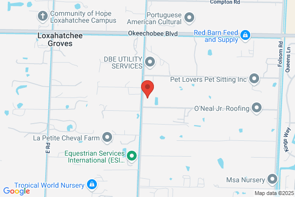 Reid and Associates Equine Medicine and Surgery