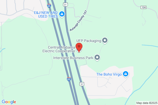 Alabama Electric Cooperative Inc
