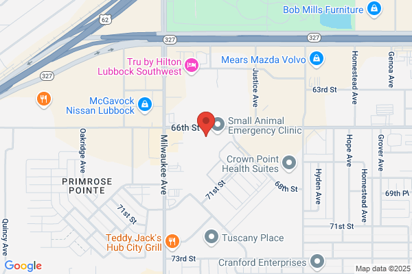 The Fremont Salon