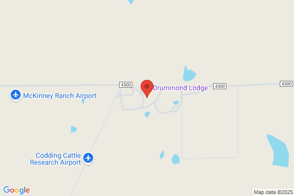 Pioneer Land and Cattle