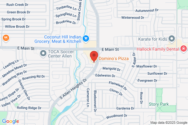 Domino's Pizza