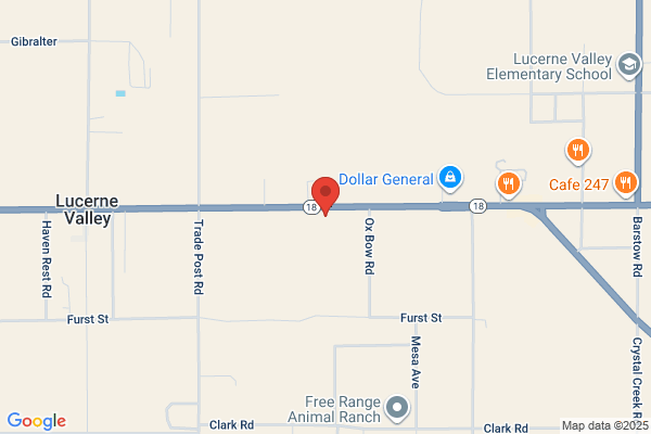 Alexa General Feed Store