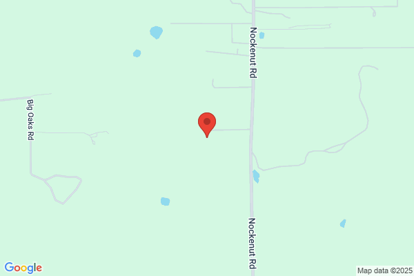 Duke Energy Field Services Inc