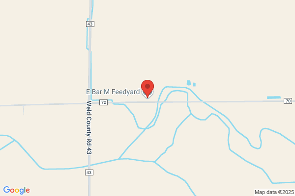 Ebar M Feed Yard