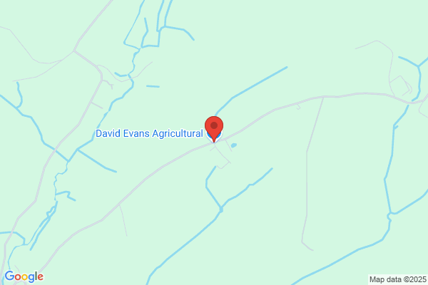 Evans Dave