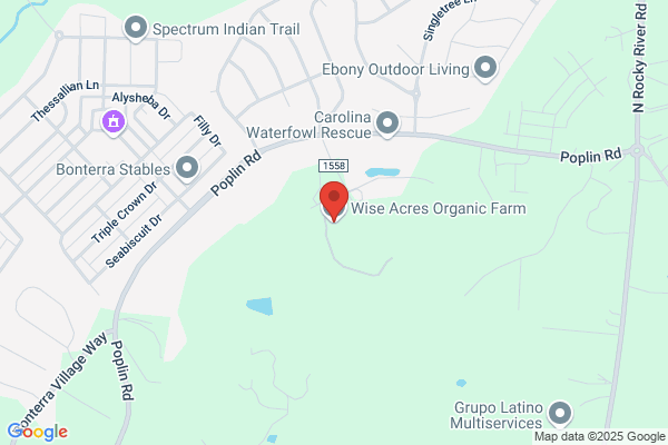 Wise Acres