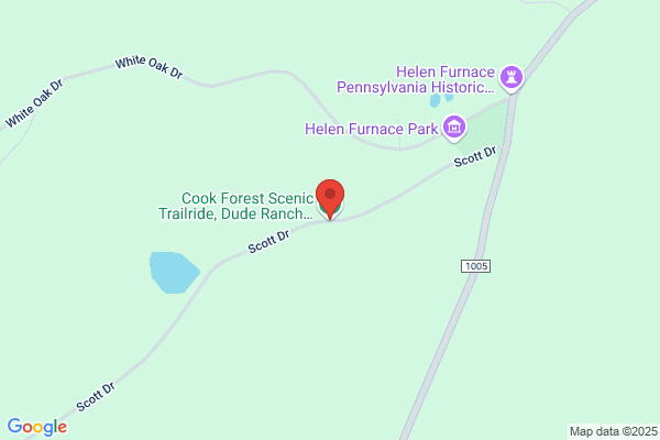 Cook Forest Scenic Trailride, Dude Ranch & Campground
