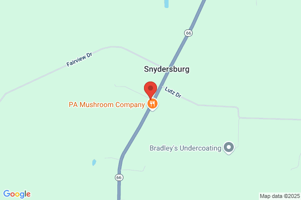 S & W Auto Service Center, Inc.