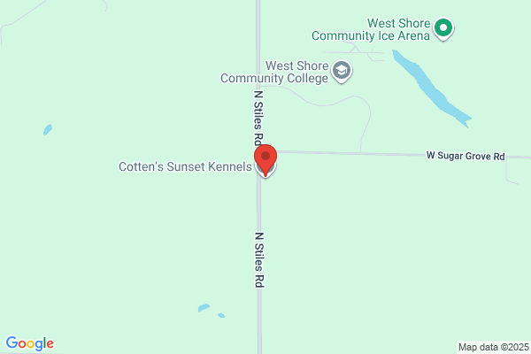 Country Kennels