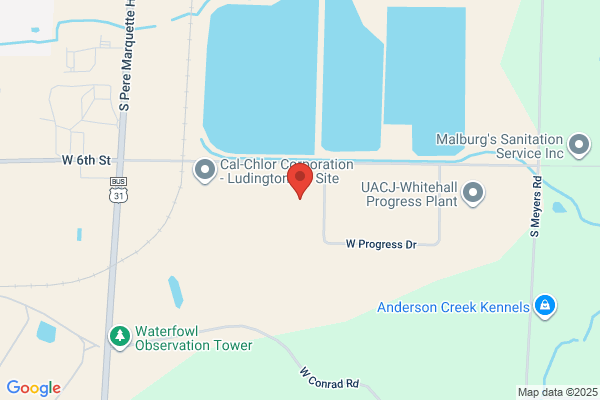 Ludington Components