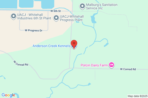Anderson Creek Kennels