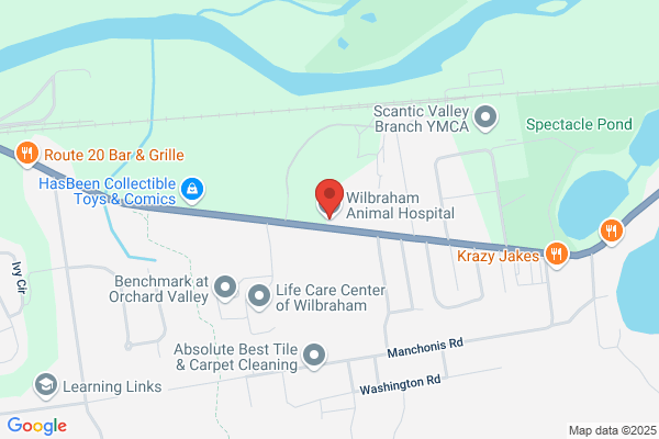 Wilbraham Animal Hospital