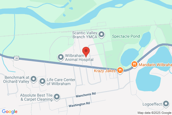 HearingLife of Wilbraham MA