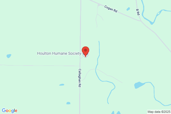 Humane Soc Shelter
