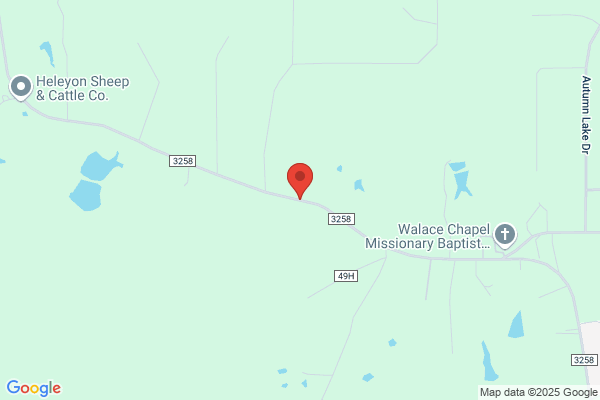 Best Air & Water Purification