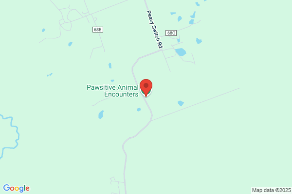 Pawsitive Animal Encounters, LLC