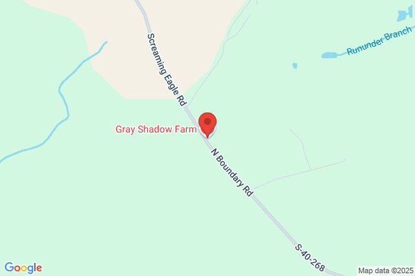 Gray Shadow Farm