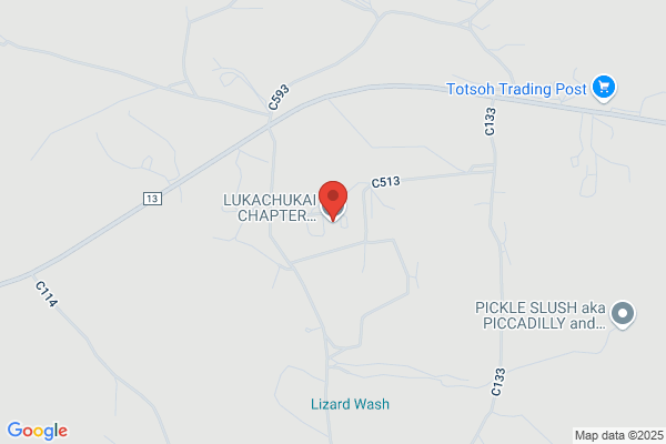 Navajo Nation Round Rock Chptr