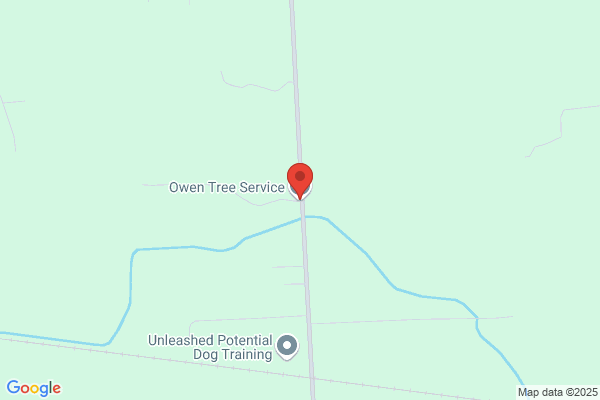 Owen Tree Service