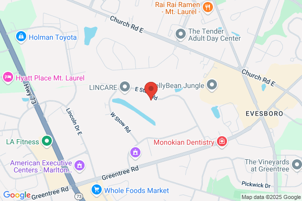 Influential Drones LLC