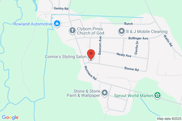 Connie's Styling Salon