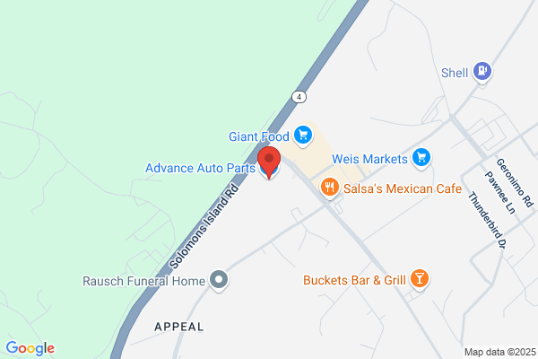 Advance Auto Parts