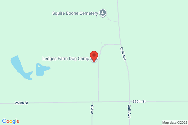Ledges Farm Dog Camp