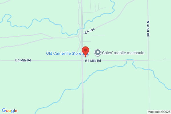 Old Carrieville Store the