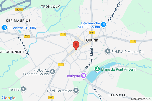 Christine Gail Gourin, MD, MPH