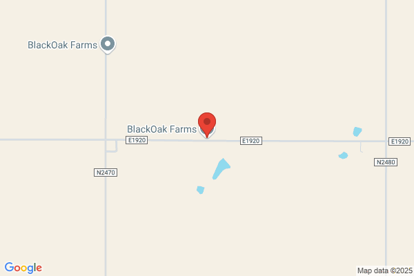 Black Oak Farms