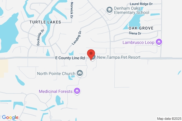 Lutz Animal Hospital