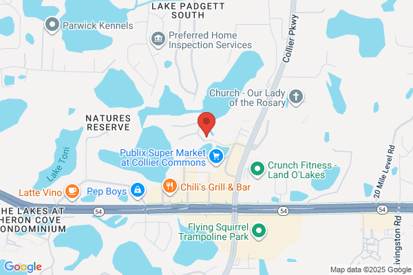 The Lakes at Collier Commons