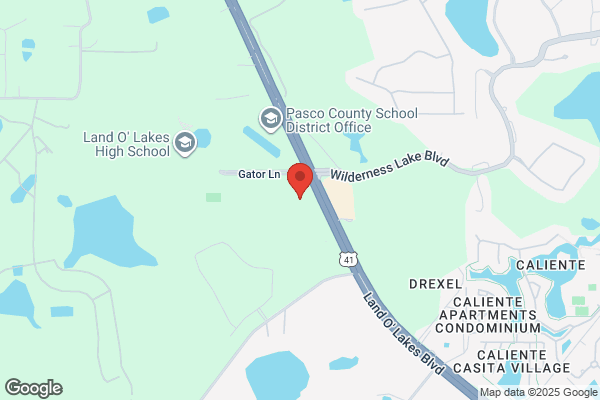 Lutz Land O'lakes Auto Body Shop