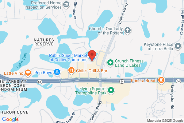 Publix Super Market at Collier Commons