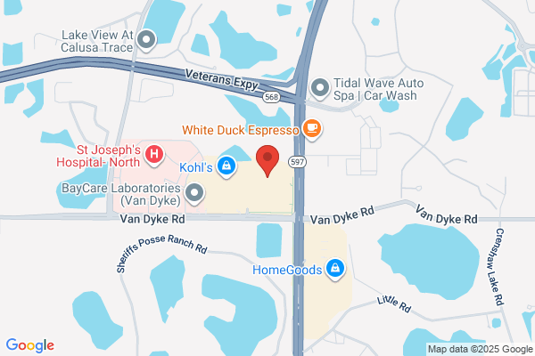 Publix Super Market at Northgate Square
