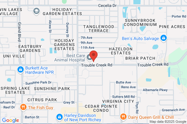 Gulfside HealthCare Services