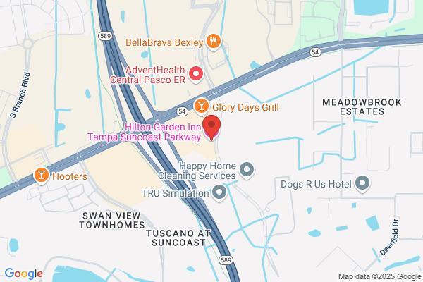 Hilton Garden Inn Tampa Suncoast Parkway