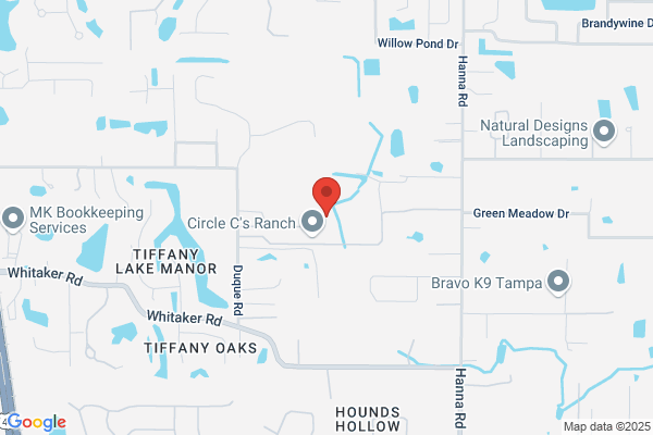 Tampa Bay Pro Pressure Washing LLC