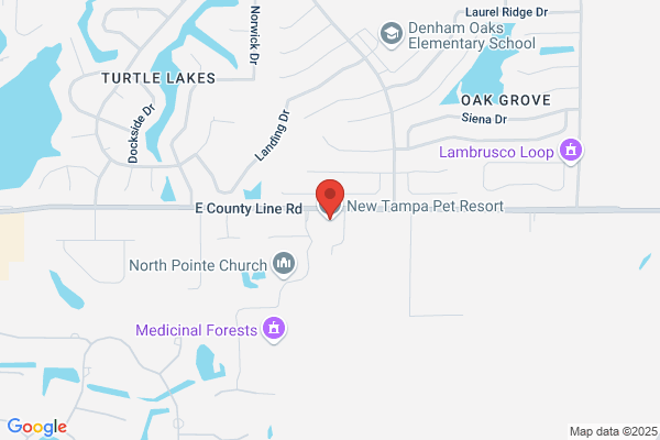 New Tampa Pet Resort