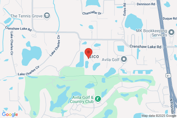 Tampa Marcite
