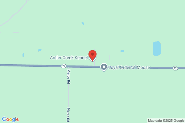 Antler Creek Kennel