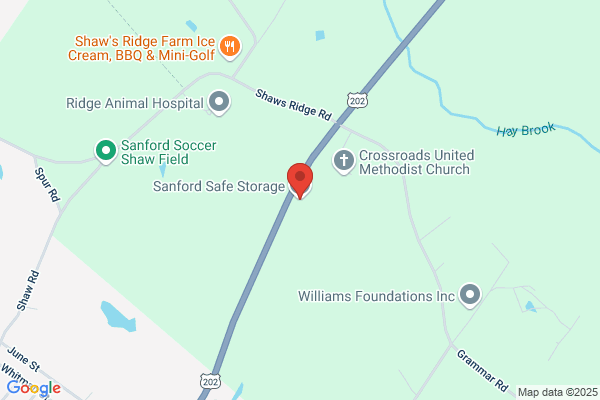 Sanford Safe Storage