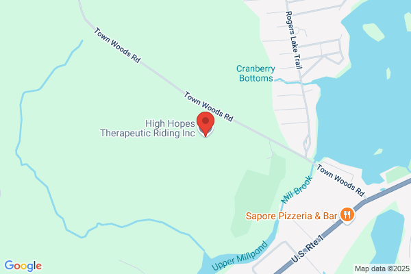 High Hopes Therapeutic Riding Inc