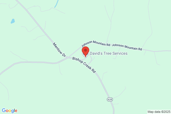 David's Tree Services