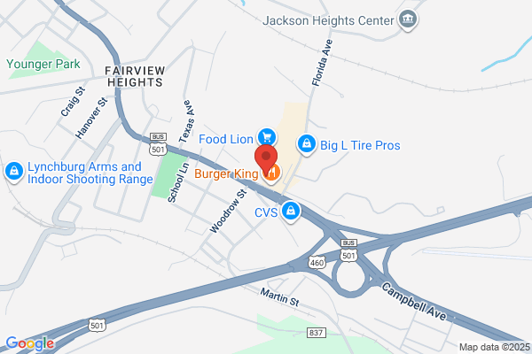 Advance Auto Parts
